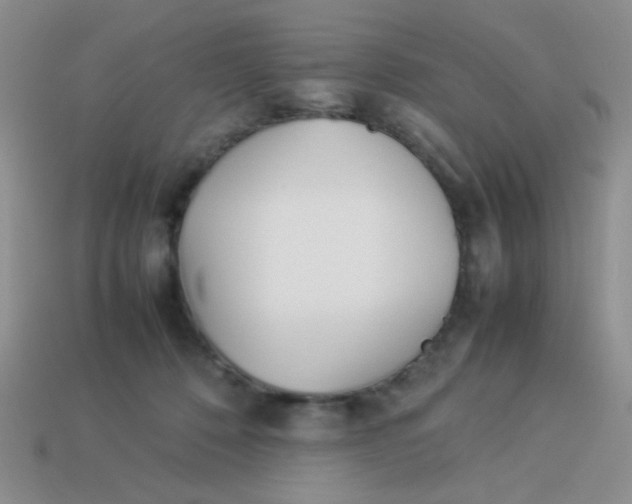 X0000113890320200910151340