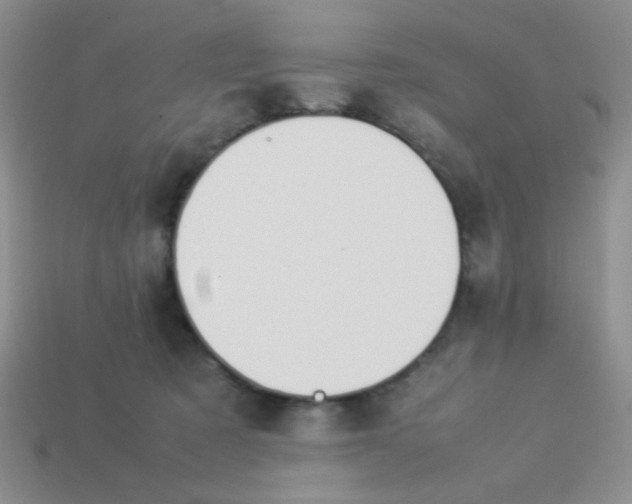 X0000113890321200910151340