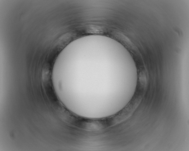 X0000113890322200910151340