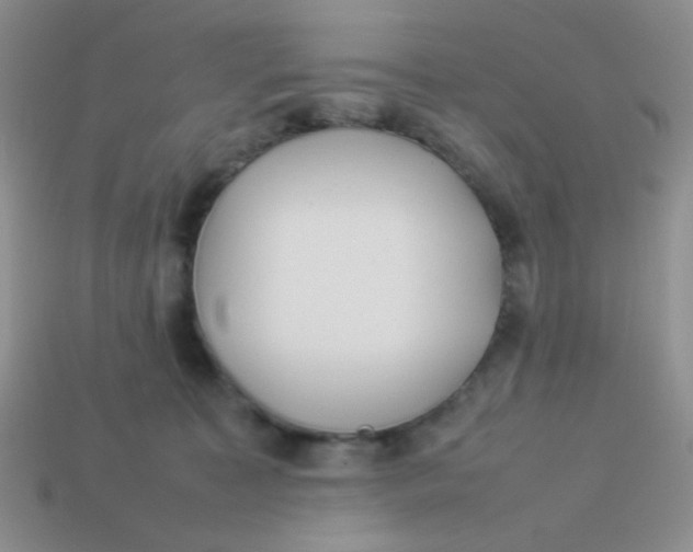 X0000113890323200910151340