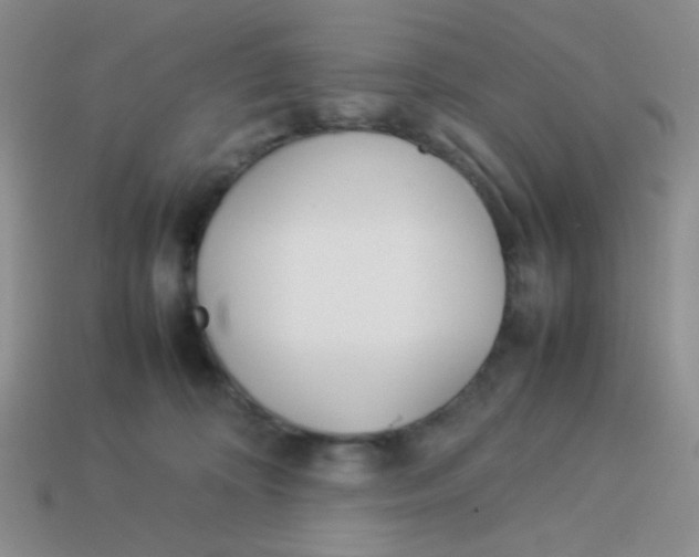 X0000113890324200910151340