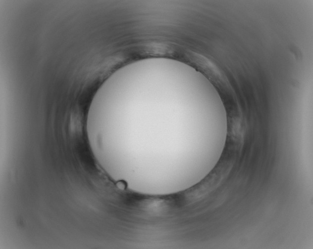 X0000113890326200910151340