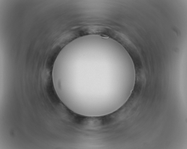 X0000113890327200910151340