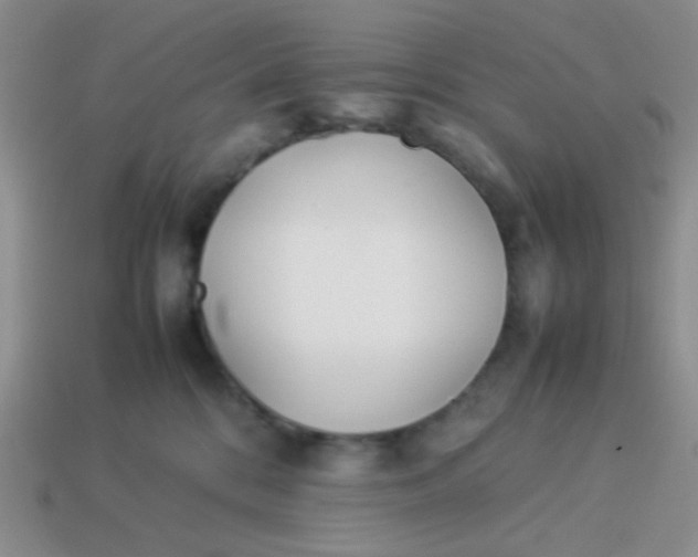X0000113890328200910151340