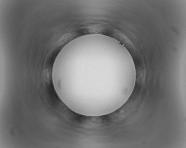 X0000113890329200910151340