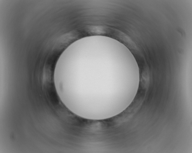 X0000113890330200910151340