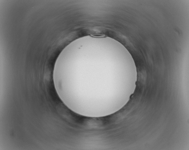 X0000113890331200910151340