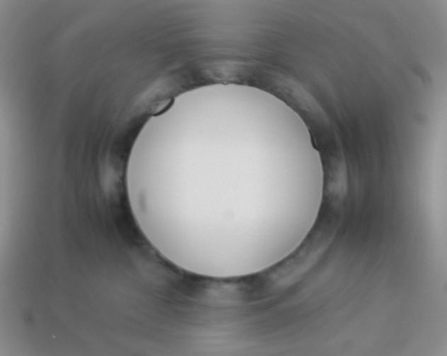 X0000113890332200910151340