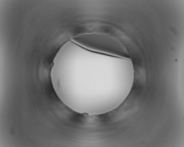 X0000113890333200910151340