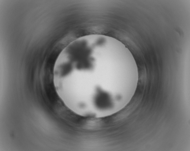 X0000113890334200910151340