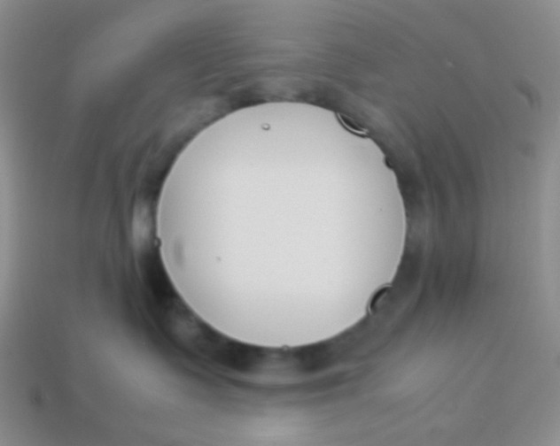 X0000113890335200910151340