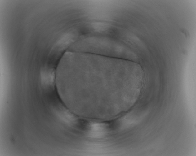 X0000113890336200910151340