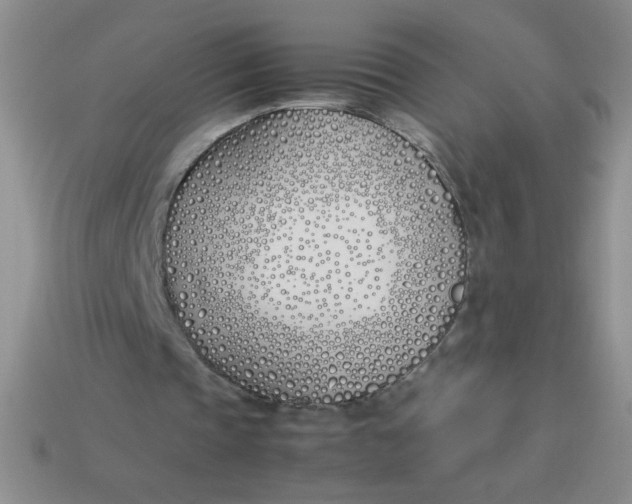 X0000113890337200910151339