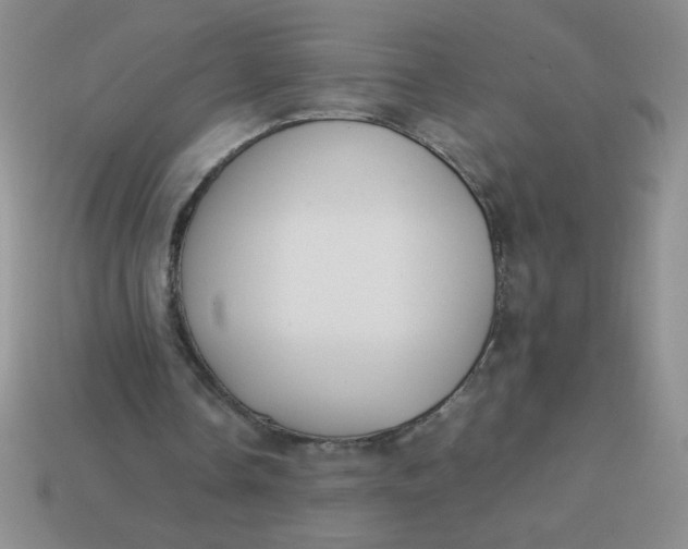 X0000113890338200910151339