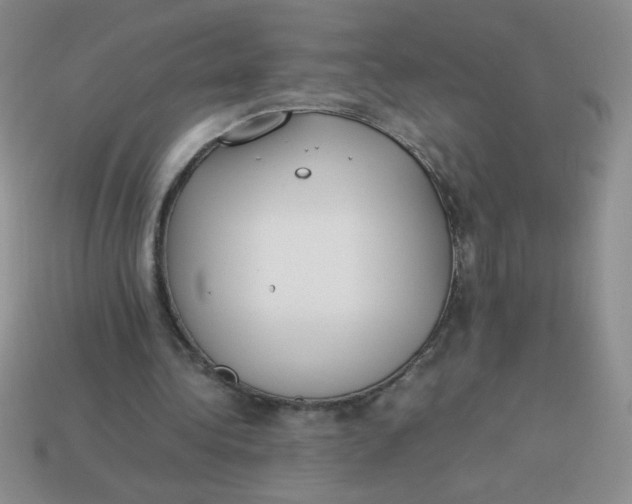 X0000113890340200910151339