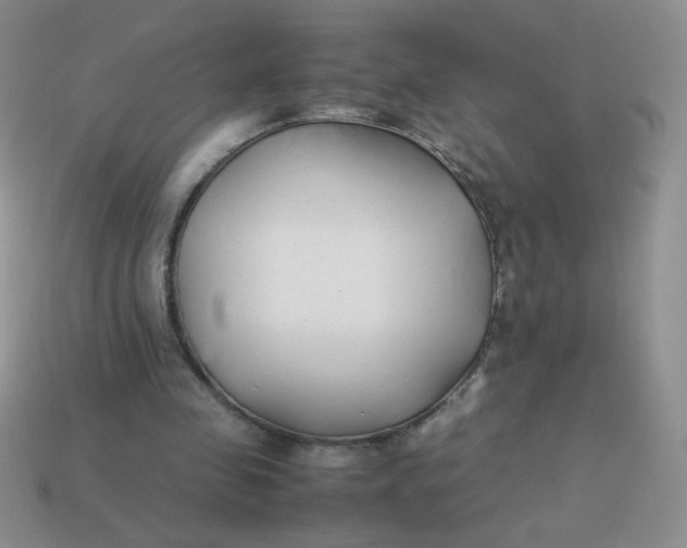 X0000113890341200910151339