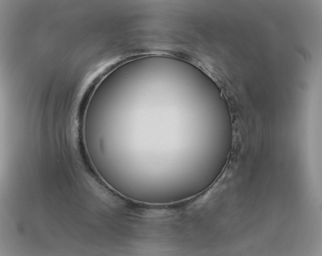 X0000113890342200910151339