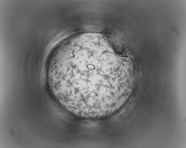 X0000113890343200910151339