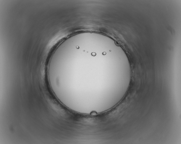X0000113890344200910151339
