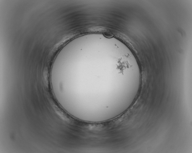 X0000113890345200910151339