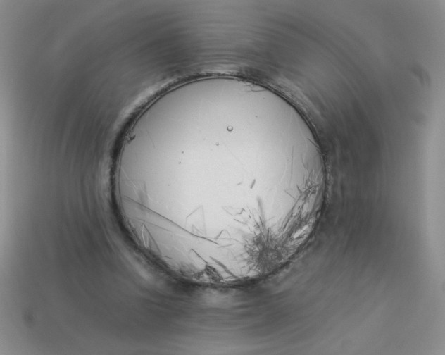 X0000113890346200910151339