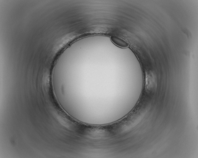 X0000113890348200910151339