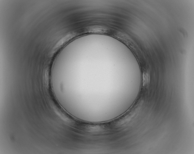 X0000113890349200910151339