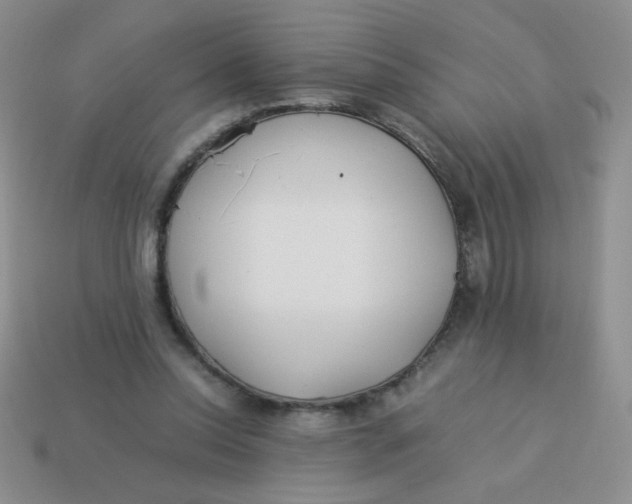 X0000113890350200910151339