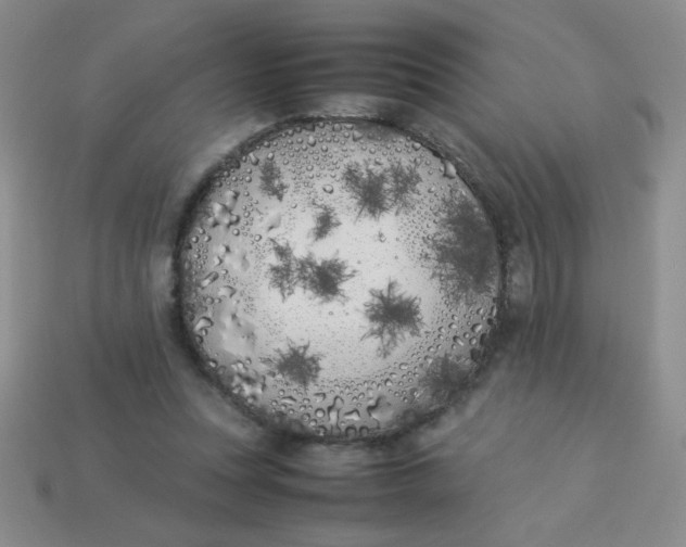 X0000113890351200910151339
