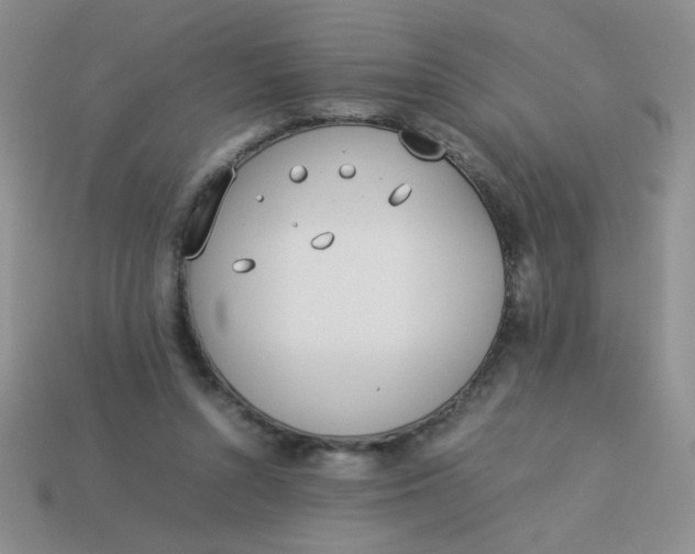 X0000113890352200910151339