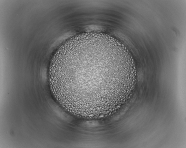 X0000113890353200910151339