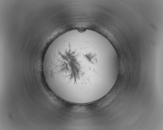 X0000113890354200910151339