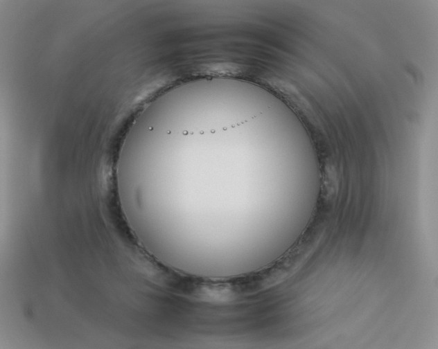 X0000113890355200910151339