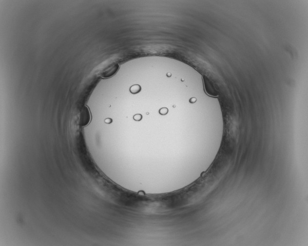 X0000113890356200910151339