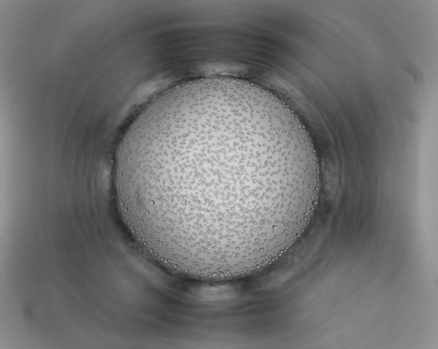 X0000113890357200910151339