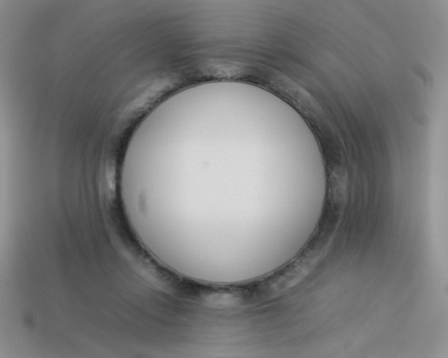 X0000113890358200910151339