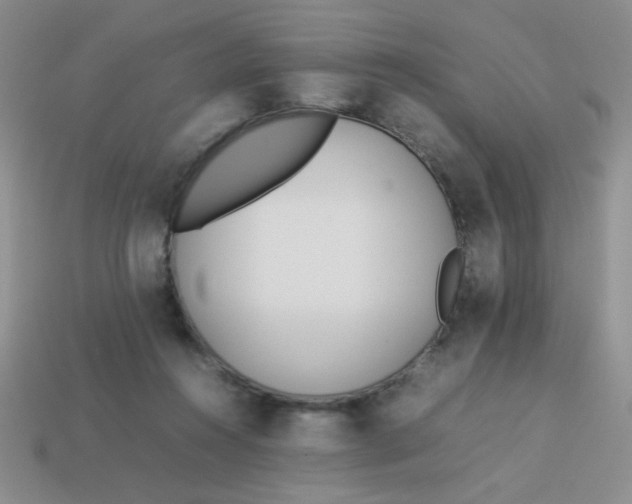 X0000113890360200910151339