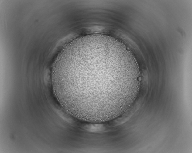 X0000113890361200910151339