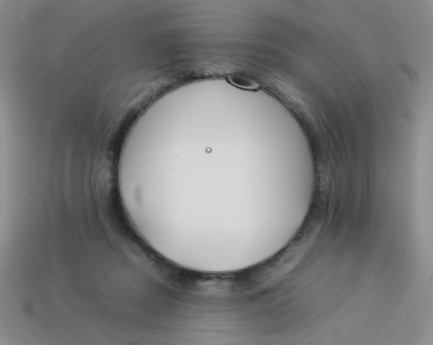 X0000113890362200910151339