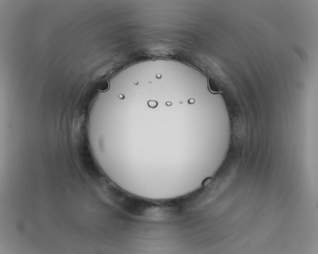 X0000113890364200910151339