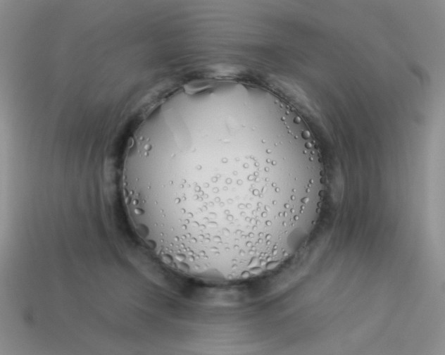 X0000113890366200910151339