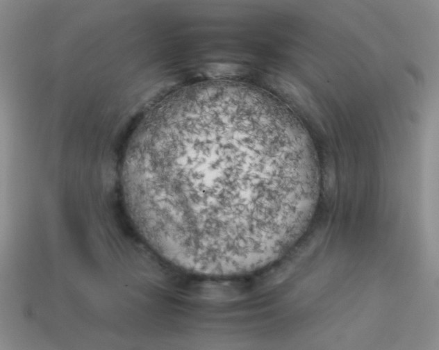 X0000113890367200910151339