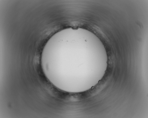 X0000113890368200910151339