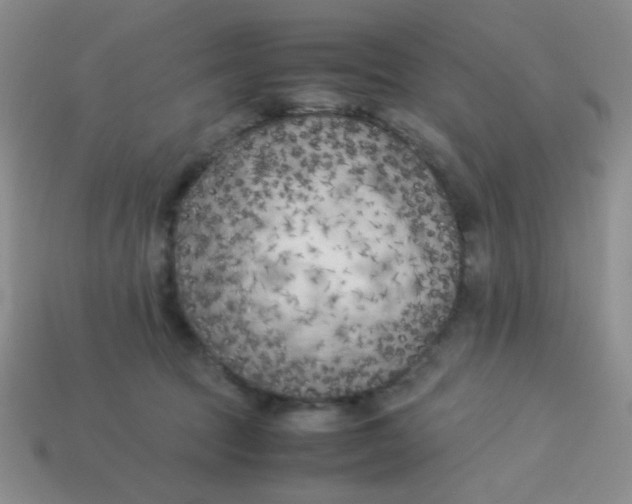 X0000113890369200910151339