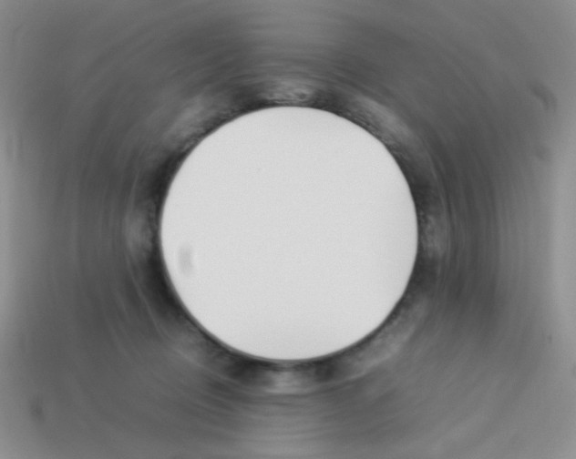 X0000113890370200910151339