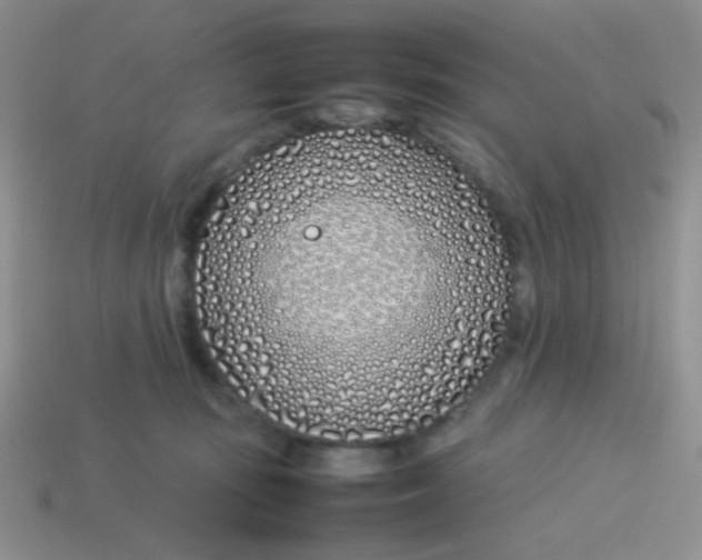 X0000113890371200910151339