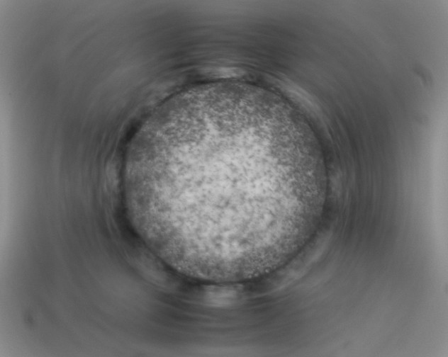 X0000113890373200910151339