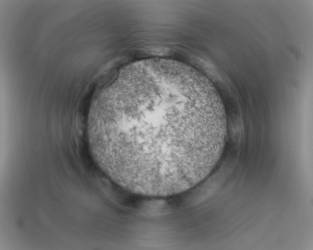 X0000113890374200910151340