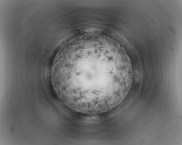 X0000113890375200910151340