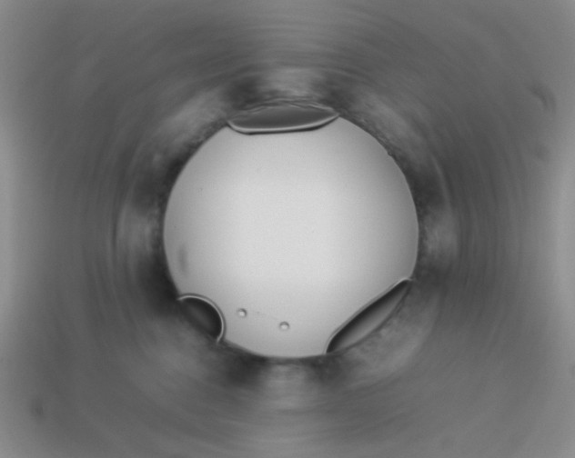 X0000113890376200910151340